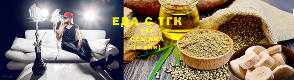 прущие грибы Абаза