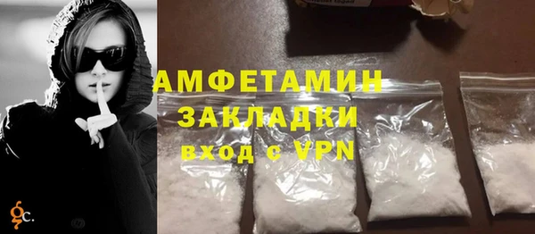 прущие грибы Абаза