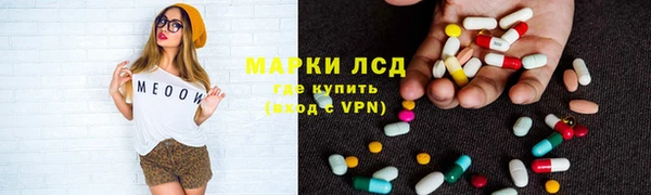 прущие грибы Абаза