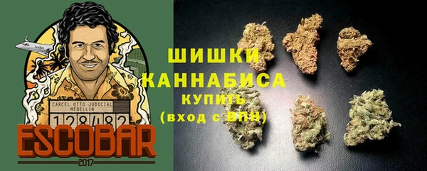прущие грибы Абаза