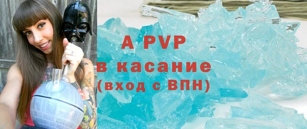 прущие грибы Абаза